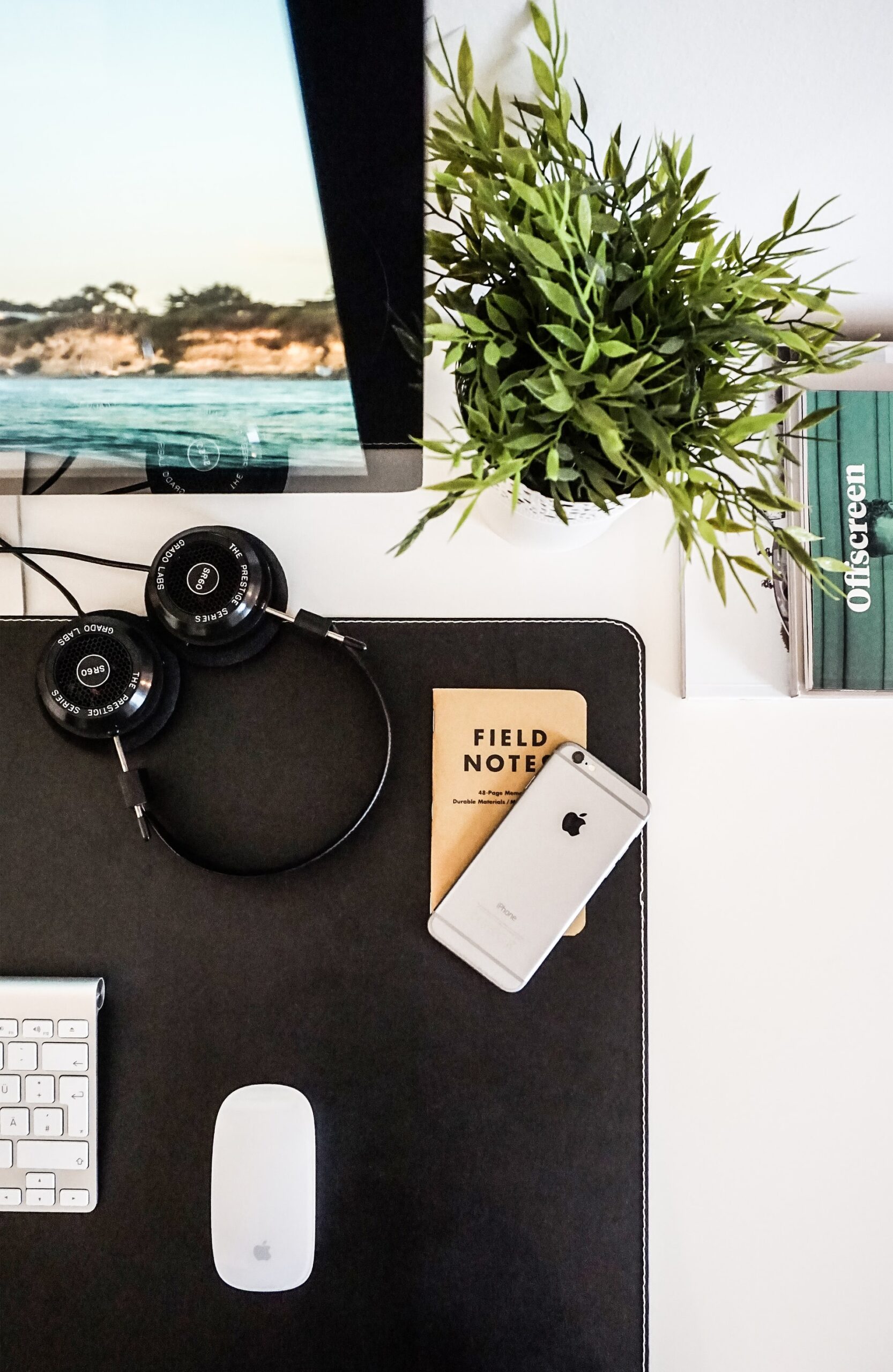 Flatlay Blackmat, green plant, iphone