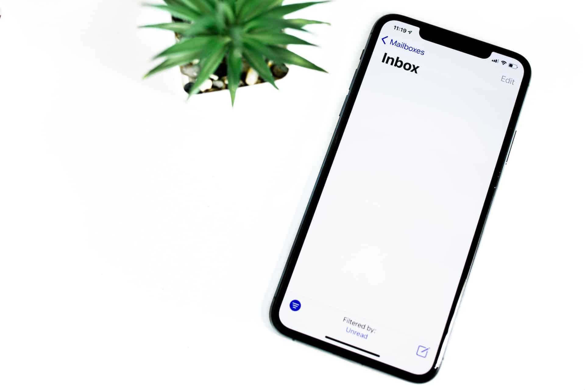 open iphone on gmail with white background and green plant