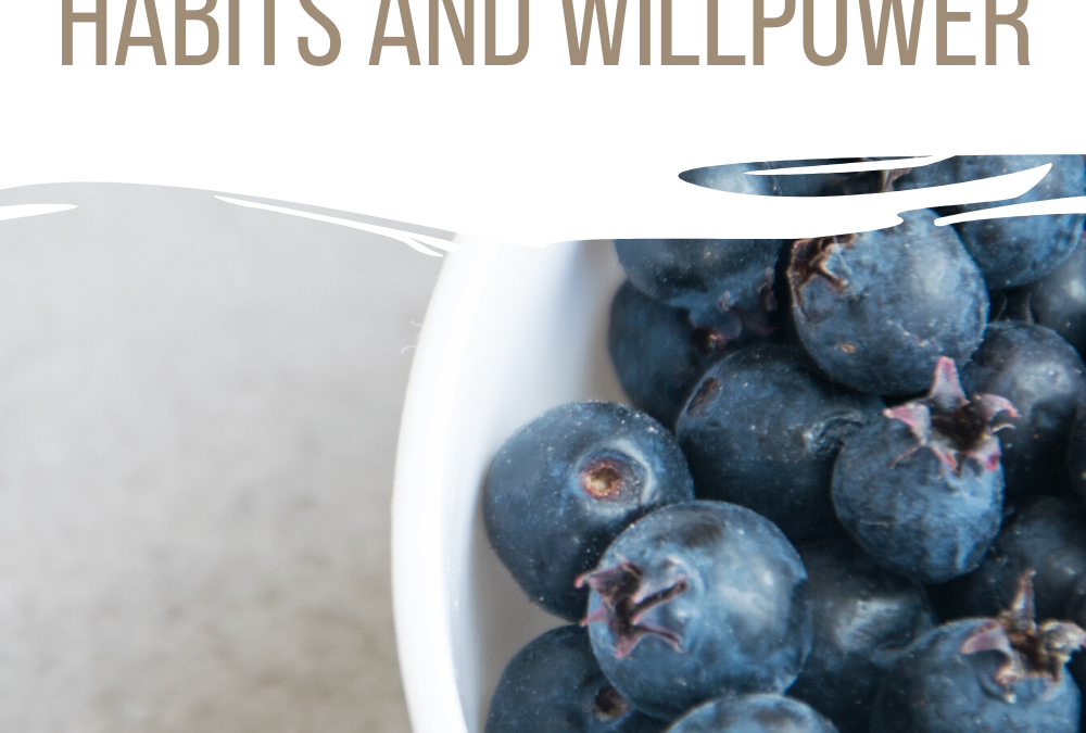 The Relationship Between Habits and Willpower