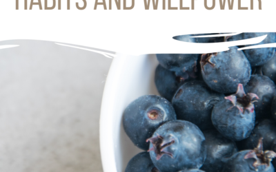 The Relationship Between Habits and Willpower