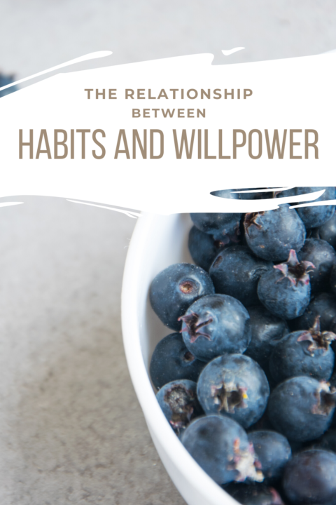 The Relationship Between Habits And Willpower - Miss Pengwin