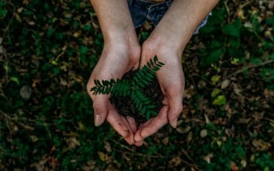 What I’ve Learned About Business from Farmers